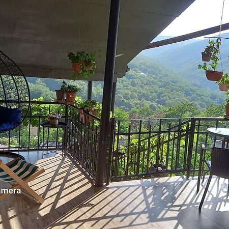 Cherqe Guest House Sighnaghi Zewnętrze zdjęcie