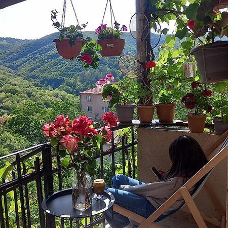 Cherqe Guest House Sighnaghi Zewnętrze zdjęcie