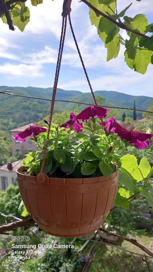 Cherqe Guest House Sighnaghi Zewnętrze zdjęcie