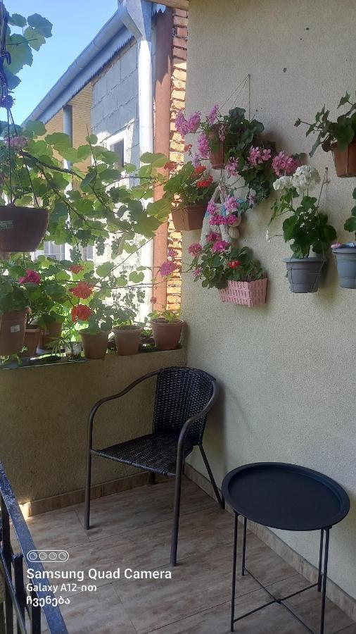 Cherqe Guest House Sighnaghi Zewnętrze zdjęcie