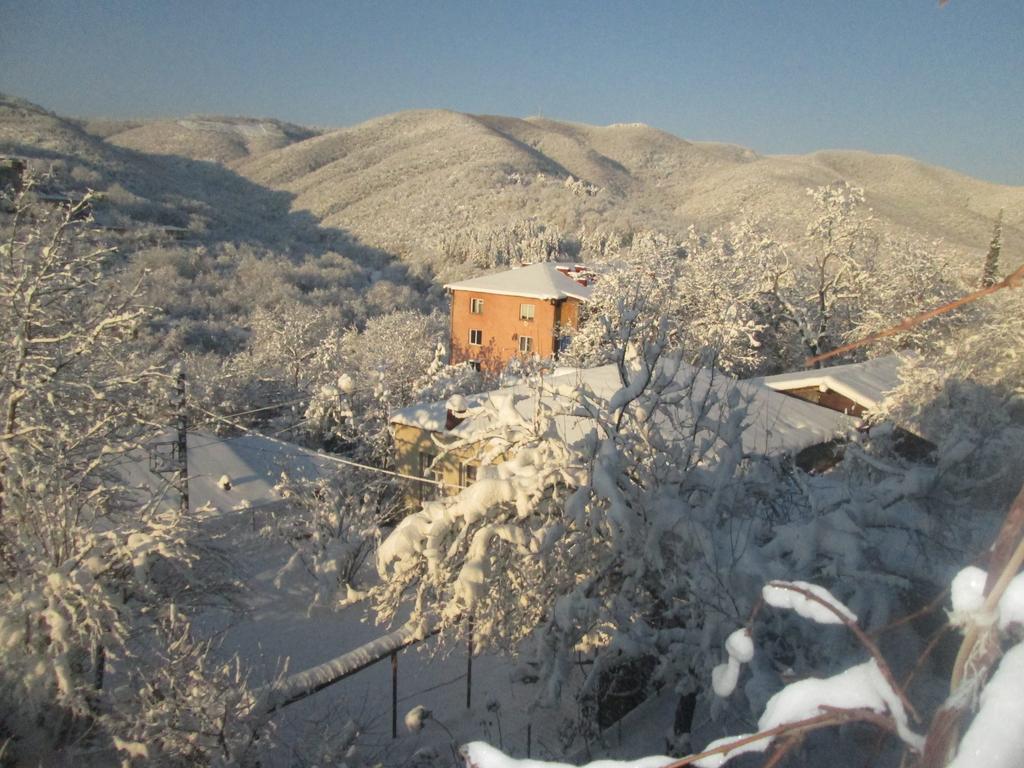 Cherqe Guest House Sighnaghi Zewnętrze zdjęcie