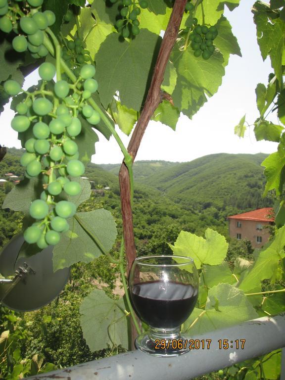 Cherqe Guest House Sighnaghi Zewnętrze zdjęcie